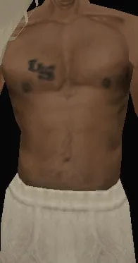 Clothing index 1: 10LS2 (10ls2)